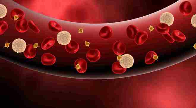 世界地貧日 這種遺傳病為何南方沿海地區(qū)高發(fā)？如何科學預防？(圖1)