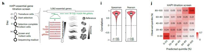 Nature子刊：用AI預測CRISPR基因編輯活性實現(xiàn)對基因表達水平的精準調(diào)控(圖3)